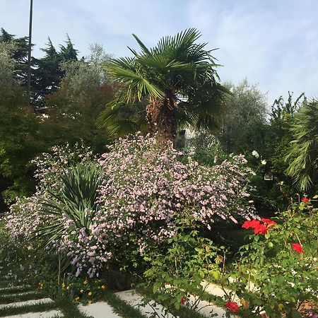 Villa Arzilla Desenzano del Garda Zewnętrze zdjęcie